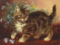 Kittens and Flowers, c.1903-Wilson Hepple-Stretched Canvas