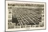 Wilson, North Carolina - Panoramic Map-Lantern Press-Mounted Art Print