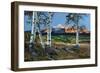 Wilson Peak Aspens I-Larry Malvin-Framed Photographic Print