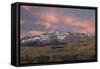 Wilson Peak at Dawn in the Fall-James Hager-Framed Stretched Canvas