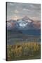 Wilson Peak at Dawn in the Fall-James Hager-Stretched Canvas