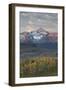 Wilson Peak at Dawn in the Fall-James Hager-Framed Photographic Print