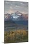 Wilson Peak at Dawn in the Fall-James Hager-Mounted Photographic Print