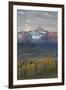 Wilson Peak at Dawn in the Fall-James Hager-Framed Photographic Print