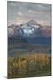 Wilson Peak at Dawn in the Fall-James Hager-Mounted Photographic Print