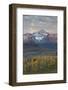 Wilson Peak at Dawn in the Fall-James Hager-Framed Photographic Print