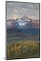 Wilson Peak at Dawn in the Fall-James Hager-Mounted Photographic Print