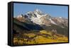 Wilson Peak on an Autumn Morning, San Juan Mountains, Colorado, USA-Jaynes Gallery-Framed Stretched Canvas
