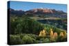 Wilson Peak Yellow Aspen Hills-Larry Malvin-Stretched Canvas