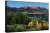 Wilson Peak Yellow Aspen Hills-Larry Malvin-Stretched Canvas