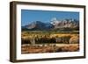 Wilson Peak Yellow Aspens-Larry Malvin-Framed Photographic Print