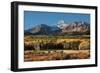 Wilson Peak Yellow Aspens-Larry Malvin-Framed Photographic Print