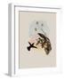 Wilson's Erythronote, Erythronota Edwardi-John Gould-Framed Giclee Print