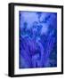 Wilted Tulips, Texture, Composing, Monochrome Blue-Alaya Gadeh-Framed Photographic Print