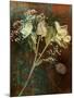 Wilted White Rose and Baby's Breath-Robert Cattan-Mounted Photographic Print