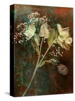 Wilted White Rose and Baby's Breath-Robert Cattan-Stretched Canvas