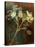 Wilted White Rose and Baby's Breath-Robert Cattan-Stretched Canvas