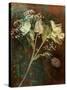 Wilted White Rose and Baby's Breath-Robert Cattan-Stretched Canvas