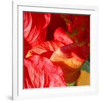 Wilting Hibiscus-Ruth Palmer-Framed Art Print