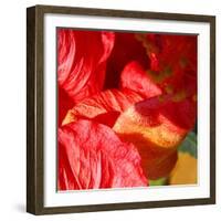 Wilting Hibiscus-Ruth Palmer-Framed Art Print