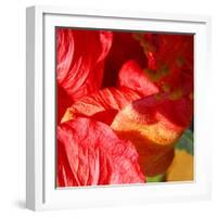 Wilting Hibiscus-Ruth Palmer-Framed Art Print