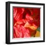 Wilting Hibiscus-Ruth Palmer-Framed Art Print