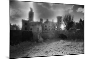 Wilton Castle, County Wexford, Ireland-Simon Marsden-Mounted Giclee Print