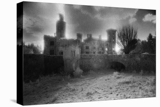 Wilton Castle, County Wexford, Ireland-Simon Marsden-Stretched Canvas