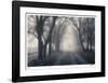 Wilton Lane-Donald Satterlee-Framed Giclee Print