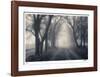 Wilton Lane-Donald Satterlee-Framed Giclee Print