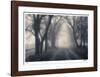 Wilton Lane-Donald Satterlee-Framed Giclee Print