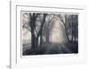 Wilton Lane-Donald Satterlee-Framed Giclee Print