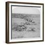 Wiltshire Boys Stealing on the Enemy at the Orange River, South Africa, 2nd Boer War, 1900-Underwood & Underwood-Framed Giclee Print