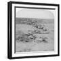 Wiltshire Boys Stealing on the Enemy at the Orange River, South Africa, 2nd Boer War, 1900-Underwood & Underwood-Framed Giclee Print