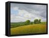 Wiltshire Landscape, Along the Wessex Ridgeway, 2010-Peter Breeden-Framed Stretched Canvas