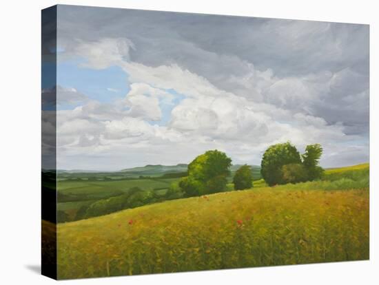 Wiltshire Landscape, Along the Wessex Ridgeway, 2010-Peter Breeden-Stretched Canvas