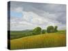 Wiltshire Landscape, Along the Wessex Ridgeway, 2010-Peter Breeden-Stretched Canvas