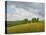 Wiltshire Landscape, Along the Wessex Ridgeway, 2010-Peter Breeden-Stretched Canvas