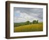 Wiltshire Landscape, Along the Wessex Ridgeway, 2010-Peter Breeden-Framed Giclee Print