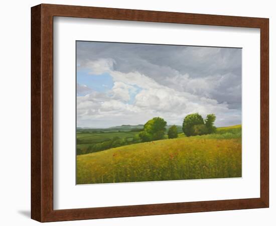 Wiltshire Landscape, Along the Wessex Ridgeway, 2010-Peter Breeden-Framed Giclee Print