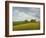 Wiltshire Landscape, Along the Wessex Ridgeway, 2010-Peter Breeden-Framed Giclee Print