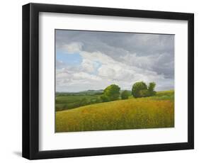 Wiltshire Landscape, Along the Wessex Ridgeway, 2010-Peter Breeden-Framed Giclee Print