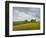 Wiltshire Landscape, Along the Wessex Ridgeway, 2010-Peter Breeden-Framed Giclee Print