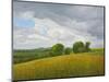 Wiltshire Landscape, Along the Wessex Ridgeway, 2010-Peter Breeden-Mounted Giclee Print