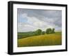 Wiltshire Landscape, Along the Wessex Ridgeway, 2010-Peter Breeden-Framed Giclee Print