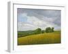 Wiltshire Landscape, Along the Wessex Ridgeway, 2010-Peter Breeden-Framed Giclee Print