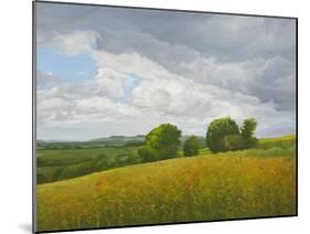 Wiltshire Landscape, Along the Wessex Ridgeway, 2010-Peter Breeden-Mounted Giclee Print
