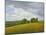 Wiltshire Landscape, Along the Wessex Ridgeway, 2010-Peter Breeden-Mounted Giclee Print