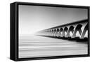 Framed Canvas