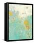 Wim II-Sue Jachimiec-Framed Stretched Canvas